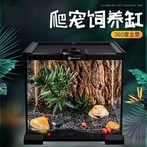 興國(guó)海（Singoseafarm）魚缸：興國(guó)海魚缸生物搭配指南 魚缸百科 第2張