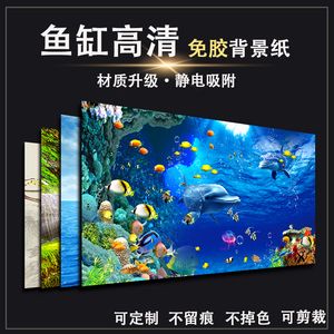 魚缸背景圖怎樣貼：如何正確的貼魚缸背景圖 魚缸百科 第2張