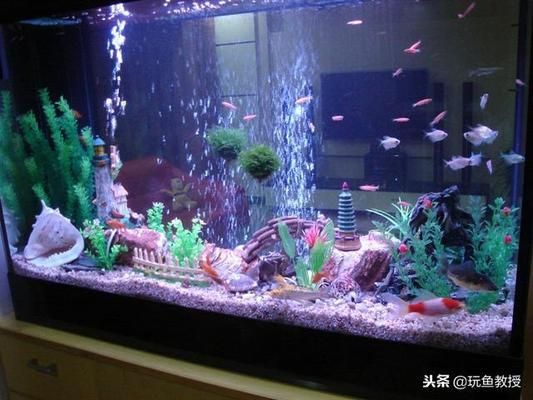 魚缸最佳光照條件是什么？：如何選擇魚缸led燈具,魚缸光照時(shí)間調(diào)節(jié)技巧，不同魚類光照需求差異 魚缸百科 第2張