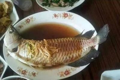 食用龍魚做法大全：清蒸龍魚的多種做法，香煎龍魚的變種做法，番茄龍魚的營養(yǎng)價(jià)值 龍魚百科 第3張