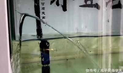 一米魚缸大約多少升水：一米魚缸水容量與養(yǎng)魚數量關系 魚缸百科 第4張