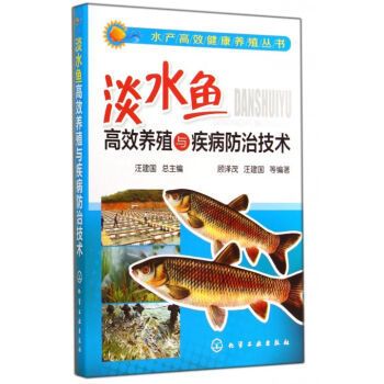 申古銀版魚疾病預防方法：申古銀版魚健康監(jiān)測方法 細線銀板魚苗 第1張