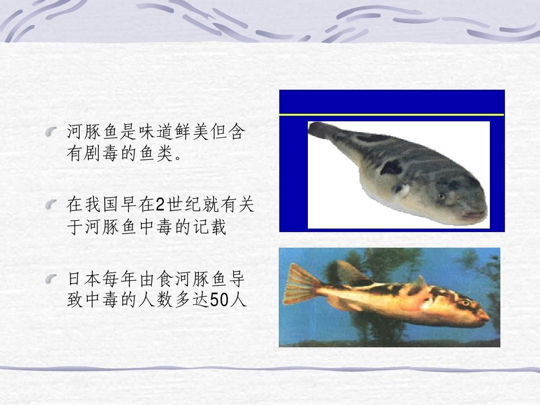 申古銀版魚疾病預防方法：申古銀版魚健康監(jiān)測方法 細線銀板魚苗 第4張