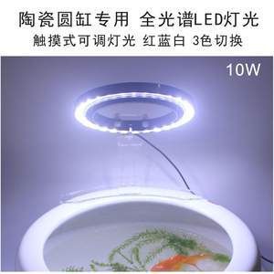 LED燈光對魚健康的具體影響：led燈光對魚的健康有多方面影響， 水族燈（魚缸燈） 第5張