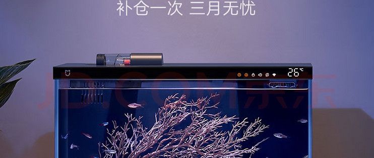 魚缸水質(zhì)檢測(cè)頻率建議：如何判斷魚缸水質(zhì)穩(wěn)定，魚缸循環(huán)過濾系統(tǒng)維護(hù)要點(diǎn) 魚缸百科 第1張