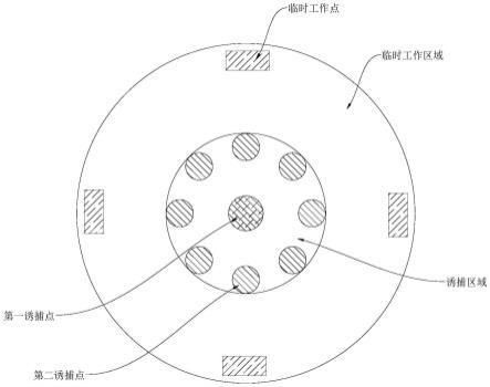 水生植物燈光誘捕效果：水生植物燈光誘捕對(duì)水生植物的影響研究，水生植物光合作用受影響 水族燈（魚缸燈） 第1張