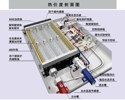 金龍魚要吃什么東西：關(guān)于金龍魚的幾個(gè)疑問 水族問答 第1張