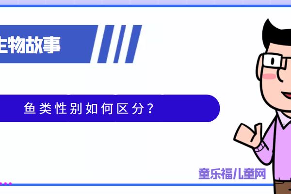 如何判斷關(guān)刀魚性別：關(guān)于關(guān)刀魚性別判斷的方法 白子關(guān)刀魚 第1張