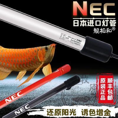 魚缸Nec燈光發(fā)黃嗎：魚缸nec燈光發(fā)黃嗎詳情 魚缸百科 第2張