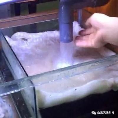 魚缸澄清劑使用方法：魚缸水質(zhì)檢測方法，魚缸過濾系統(tǒng)優(yōu)化，魚缸內(nèi)植物養(yǎng)護技巧 魚缸百科 第2張