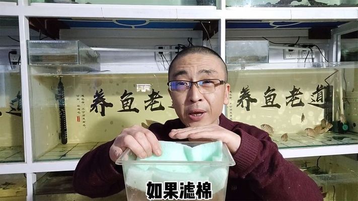 魚缸濾盒干濕分離好嗎：干濕分離濾盒的優(yōu)缺點 魚缸百科 第2張