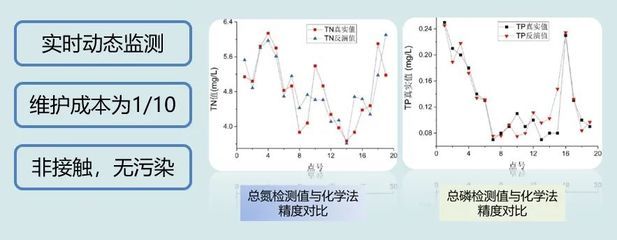 銀板魚混養(yǎng)水質(zhì)檢測頻率：銀板魚混養(yǎng)時(shí)水質(zhì)檢測頻率在每天一次，水質(zhì)檢測頻率在每天一次 細(xì)線銀板魚苗 第2張