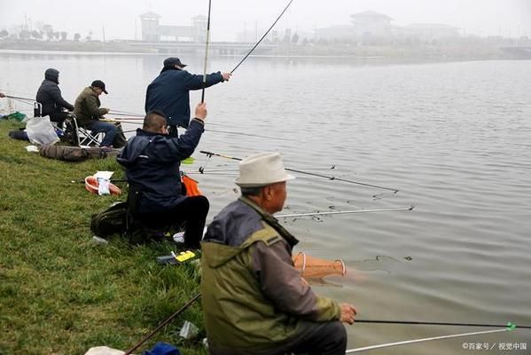 申古銀版魚水溫調(diào)節(jié)技巧：申古銀版魚水溫調(diào)節(jié)技巧，魚缸水溫調(diào)控的注意事項(xiàng) 細(xì)線銀板魚苗 第4張