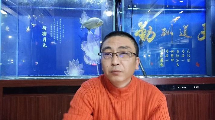 金龍魚一般多久換一次水：如何判斷金龍魚的水是否應(yīng)該更換？ 水族問答 第1張