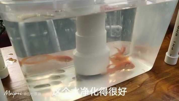 翌美魚(yú)缸使用方法視頻教程：翌美魚(yú)缸使用方法視頻