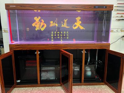 閩江魚缸安裝教程：閩江生態(tài)魚缸安裝教程 魚缸百科 第5張