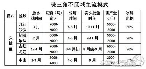 混養(yǎng)申古銀版魚投喂量標準：申古銀版魚混養(yǎng)投喂量標準