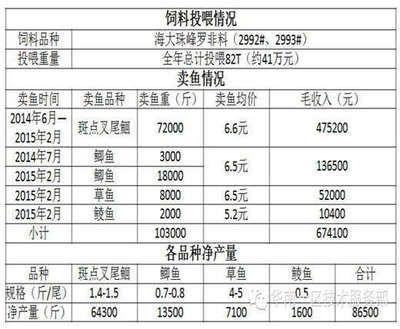 混養(yǎng)申古銀版魚投喂量標準：申古銀版魚混養(yǎng)投喂量標準