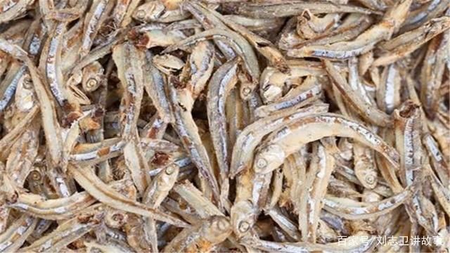 銀版魚繁殖后魚苗管理方法：銀版魚繁殖后的魚苗管理 細(xì)線銀板魚苗 第4張