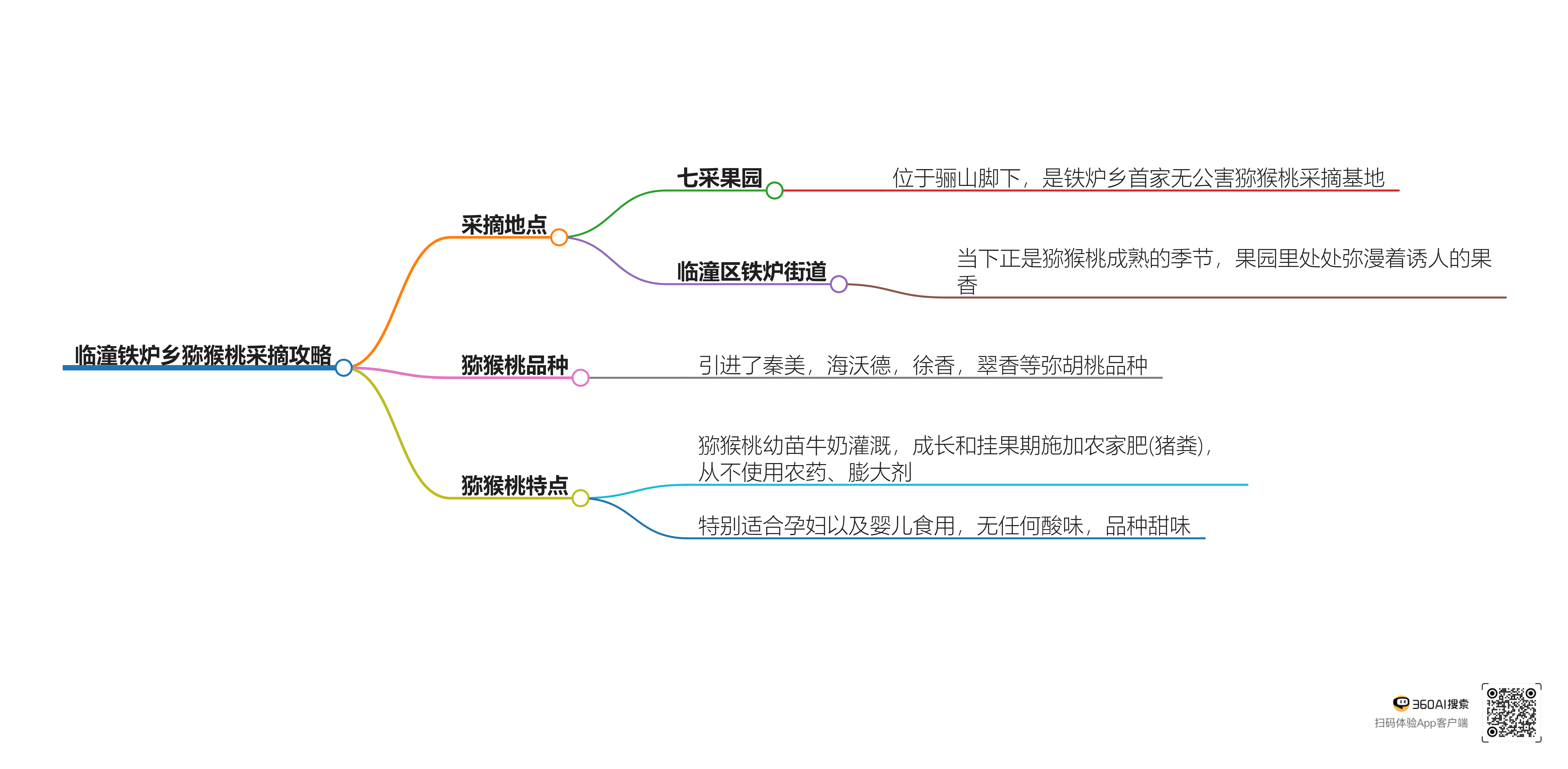 陜西獼猴桃哪里最好？陜西獼猴桃新產(chǎn)地臨潼鐵爐鄉(xiāng)：陜西臨潼鐵爐鄉(xiāng)獼猴桃產(chǎn)業(yè)發(fā)展