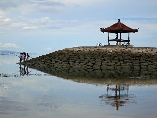 細線銀板魚苗養(yǎng)殖密度優(yōu)化：影響細線銀板魚苗養(yǎng)殖密度的主要因素 細線銀板魚苗 第4張