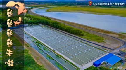 龍魚養(yǎng)殖基地地址在哪里：黑龍江省大興安嶺市塔河縣大興安嶺市塔河縣龍魚養(yǎng)殖基地 龍魚百科 第5張