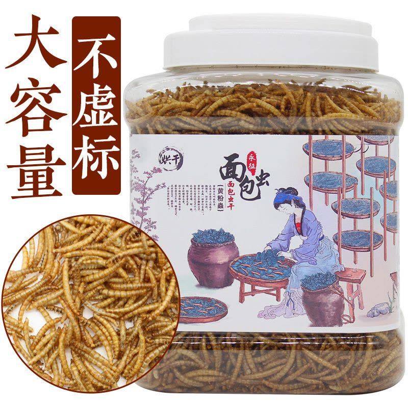 銀龍魚能用黃粉嗎：銀龍魚使用黃粉對(duì)魚類具體危害，水族箱水質(zhì)維護(hù)技巧