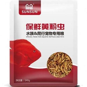 銀龍魚能用黃粉嗎：銀龍魚使用黃粉對魚類具體危害，水族箱水質(zhì)維護(hù)技巧 龍魚百科 第5張