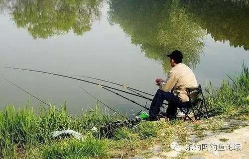 銀版魚飼料開封后保存：銀版魚飼料開封后保存期限多久能否冷凍保存 細線銀板魚苗 第2張