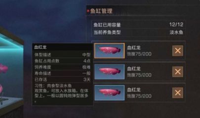 明日之后血紅龍魚多少錢一條：明日之后血紅龍魚交易攻略血紅龍魚文化象征意義探究 紅龍魚百科 第2張