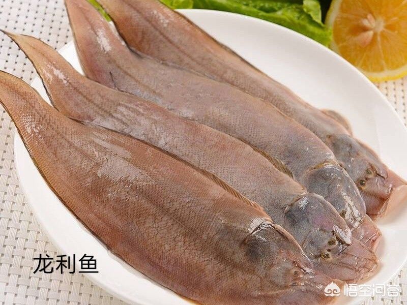 眼斑魚疾病早期癥狀識別：眼斑魚疾病的早期癥狀 龍魚百科 第4張