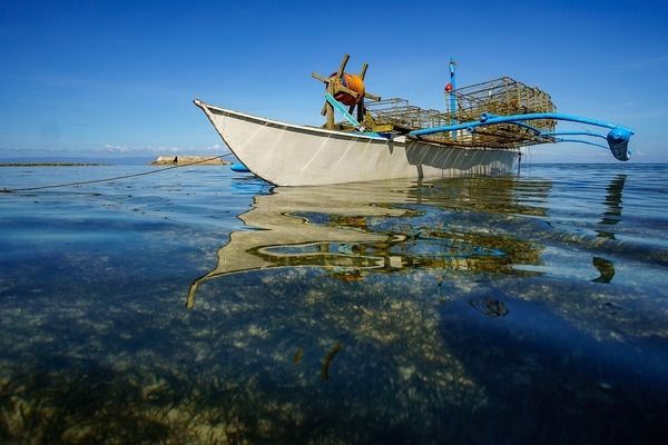 龍魚變色怎么回事視頻：龍魚變色的具體原因和處理方法 龍魚百科 第3張