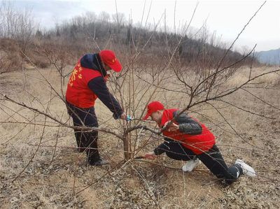 金龍魚魚缸用什么燈：金龍魚魚缸燈選擇需考慮不同成長階段的需求 水族問答 第2張