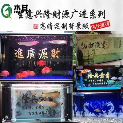 龍魚什么背景缸養(yǎng)好：養(yǎng)一缸好背景的龍魚需要考慮多個因素 龍魚百科 第5張