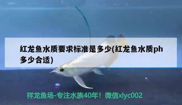 紅龍魚缸ph值應(yīng)該多少合適？：紅龍魚缸ph值的詳細(xì)信息：紅龍魚缸水溫控制技巧 紅龍魚百科 第5張