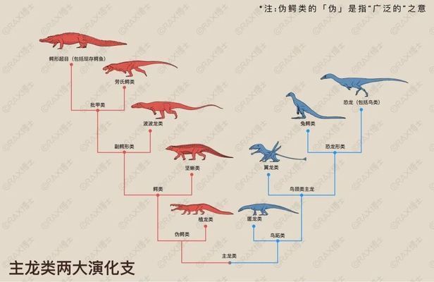 金龍魚魚子能吃嗎：吃金龍魚魚子對健康有好處或壞處或壞處或壞處 水族問答 第2張