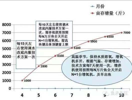 紅龍魚上色用什么燈最好看：紅龍魚上色最佳燈光類型取決于其成長(zhǎng)階段和具體需求 紅龍魚百科 第2張