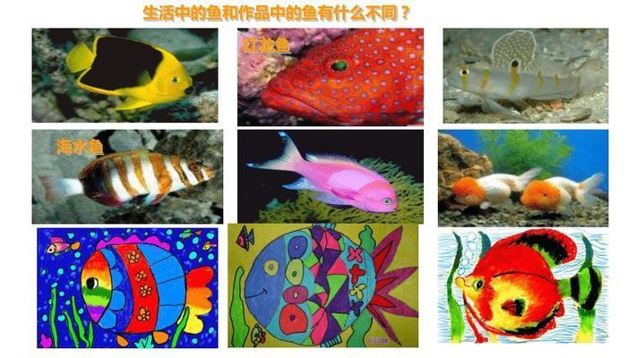 龍魚是淡水還是海水養(yǎng)殖好：龍魚是淡水養(yǎng)殖好還是海水養(yǎng)殖好 龍魚百科 第1張