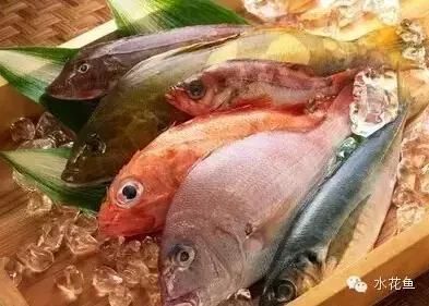 金龍魚御品小麥粉：使用金龍魚御品小麥粉制作面食時，我應(yīng)該注意哪些步驟？ 水族問答 第2張