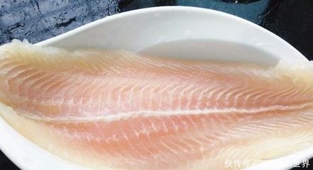 龍魚吃的少是什么原因：龍魚不吃東西的原因 龍魚百科 第1張