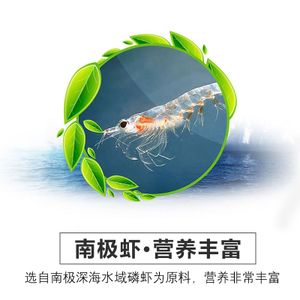 龍魚(yú)飼料魚(yú)是什么魚(yú)做的呢圖片：如何挑選優(yōu)質(zhì)的龍魚(yú)飼料魚(yú) 龍魚(yú)百科 第2張