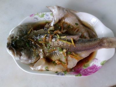 金龍魚(yú)怎么看品相圖解：關(guān)于金龍魚(yú)的幾個(gè)疑問(wèn) 水族問(wèn)答