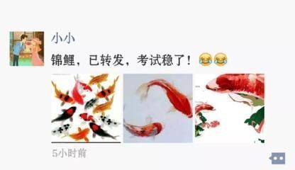 龍魚病了的說說搞笑：關(guān)于龍魚病了的搞笑說說 龍魚百科 第2張