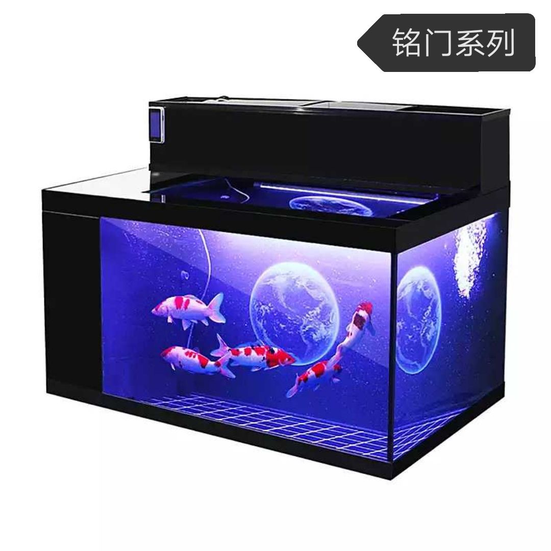 奧龍魚缸：奧龍魚缸尺寸計算工具 龍魚百科 第5張