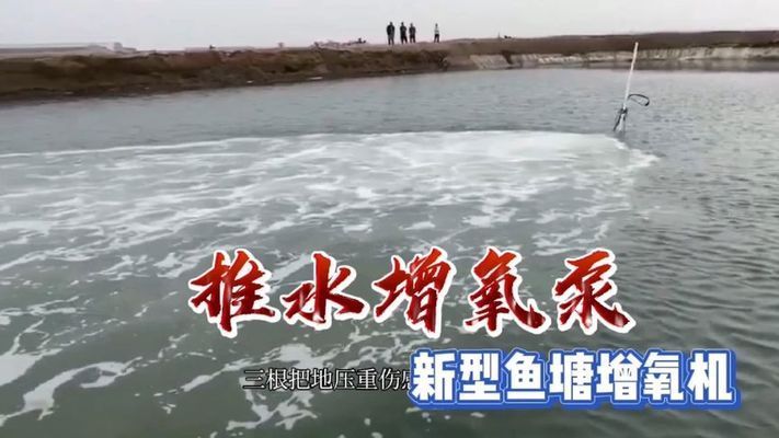 雷龍魚怎么吃東西：雷龍魚喂食頻率調(diào)整,雷龍魚健康飲食搭配 龍魚百科 第1張