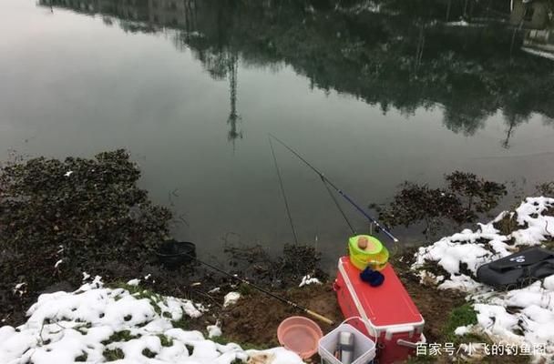 金龍魚怎樣養(yǎng)上色快又好看：養(yǎng)上色快又好看的金龍魚方法 水族問答 第2張