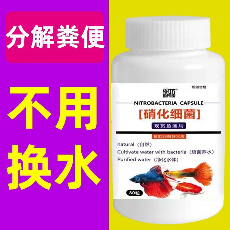 龍魚萬(wàn)能藥多久換水：龍魚萬(wàn)能藥使用后的換水時(shí)機(jī)需遵循專業(yè)分析和專業(yè)分析 龍魚百科 第4張