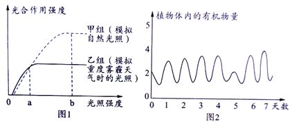 龍魚光照強(qiáng)度的最佳范圍：龍魚光照強(qiáng)度應(yīng)該控制在中等范圍內(nèi)， 龍魚百科 第4張