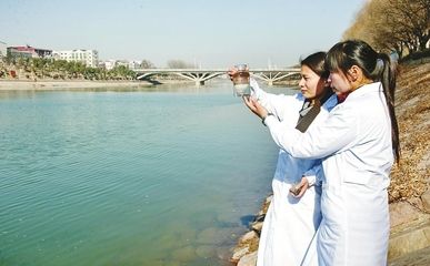 金龍魚長期喂大麥蟲好嗎：金龍魚喂食大麥蟲需要控制多少比例的大麥蟲飼料 水族問答 第1張