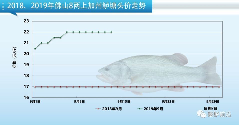 金龍魚(yú)長(zhǎng)期喂大麥蟲(chóng)可以嗎：不建議用金龍魚(yú)長(zhǎng)期喂食大麥蟲(chóng)，這5個(gè)疑問(wèn)需要澄清 水族問(wèn)答 第2張